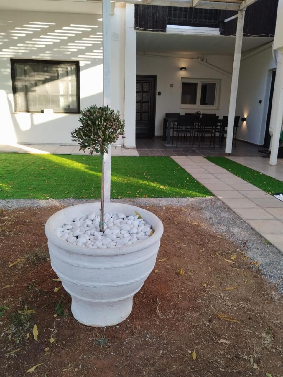 Black N' White Cozy Housegarden Александруполис Екстериор снимка